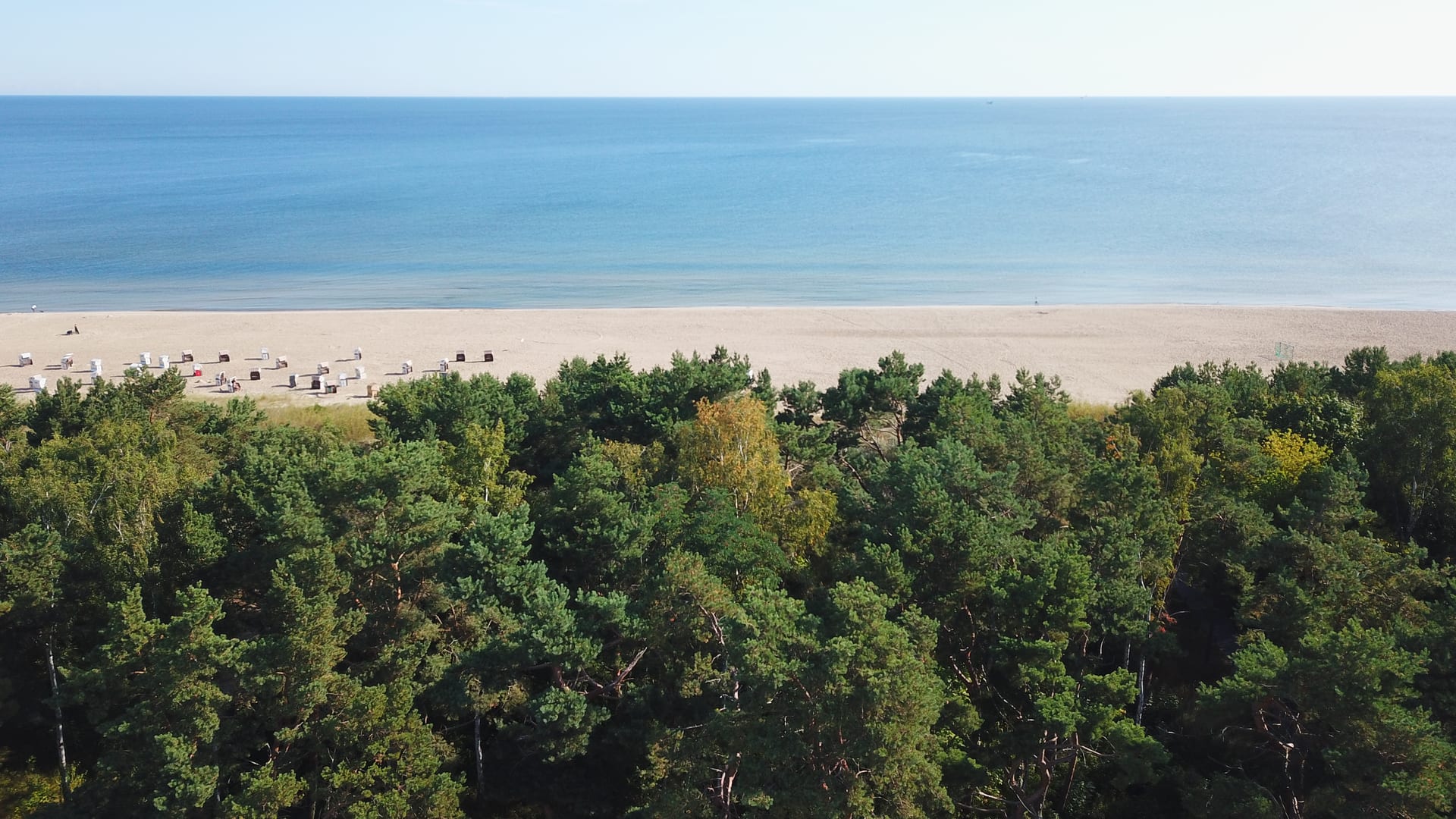 Luftaufnahme der Ostseeküste: Kiefernwald, dahinter breiter Sandstrand mit Strandkörben und das offene Meer
