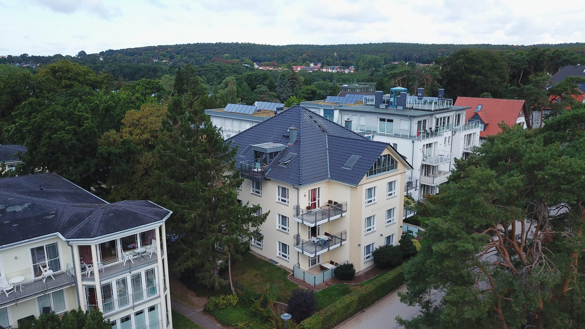 Strandhaus Aurell zwischen Küstenkiefern, dahinter das grüne Hinterland Usedoms