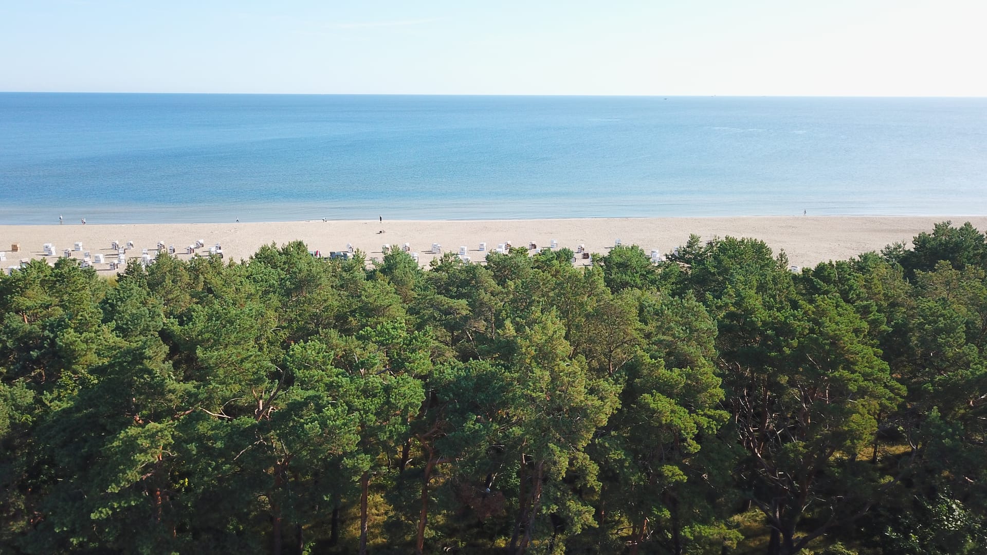 Blick über den Küstenwald bei der Strandresidenz Else Marie auf den Ostseehorizont