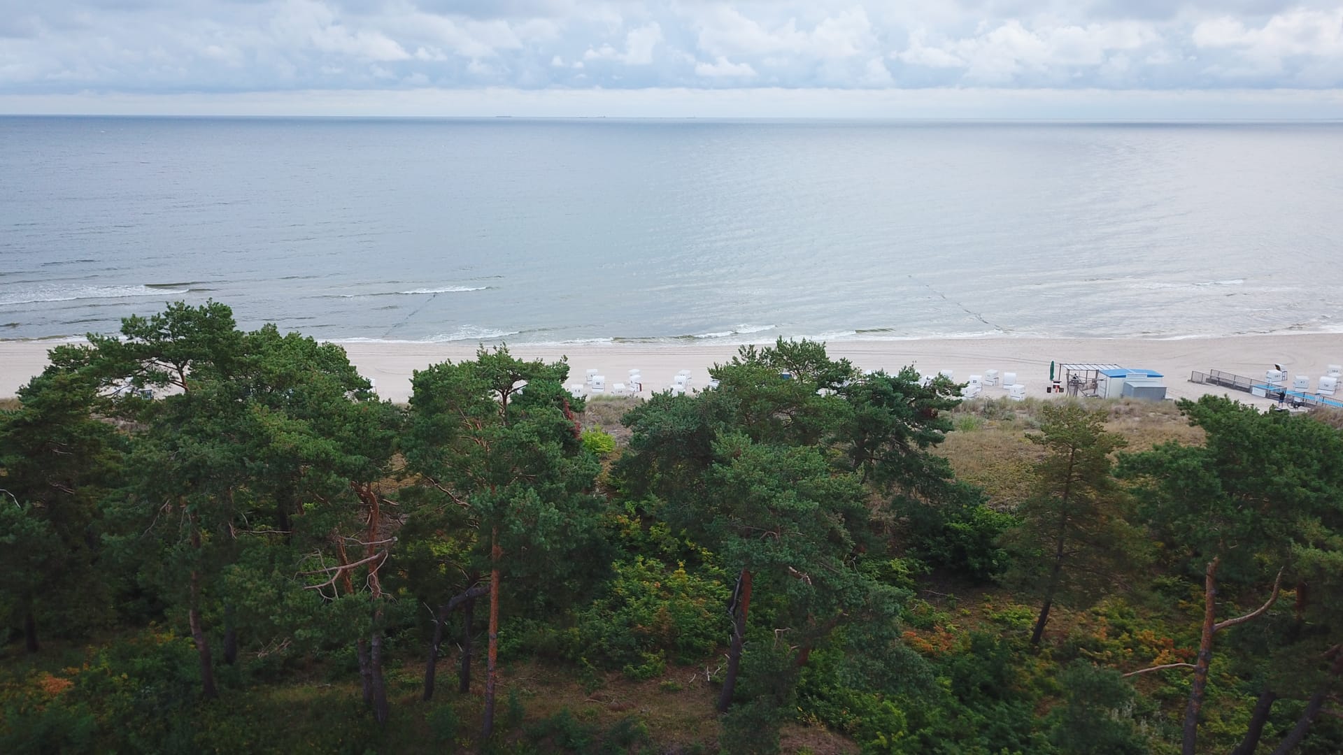 Ostseehorizont über den Dünenkiefern nahe der Villa Ida-Marie in Bansin