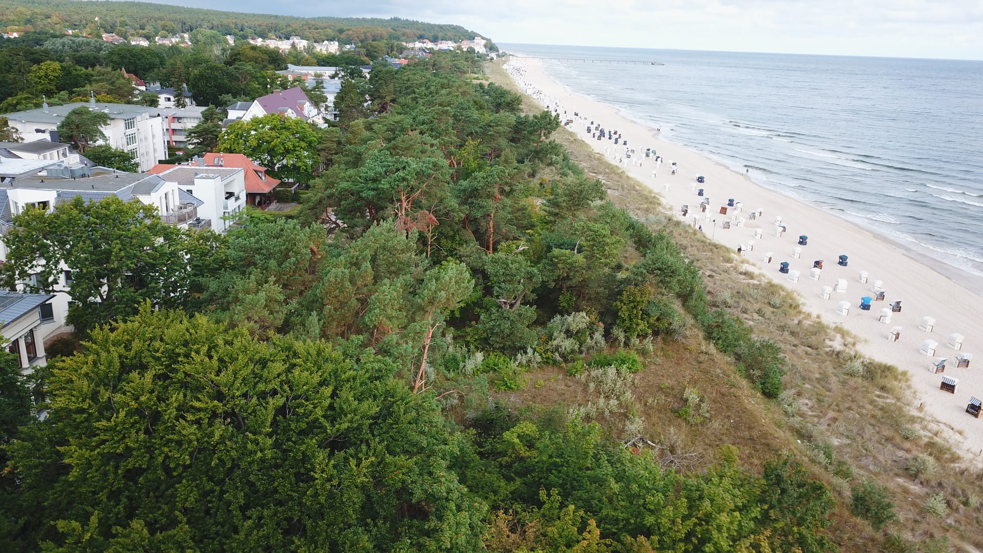 Küstenpanorama am Seebad Heringsdorf: Strandkiefern, Düne und der breite Sandstrand nahe der Villa Medici